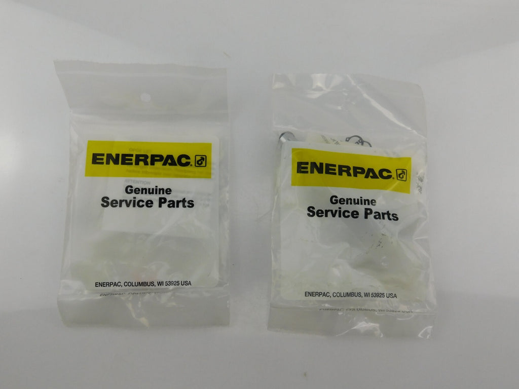 ENERPAC P39PGK REPAIR KIT  1716K