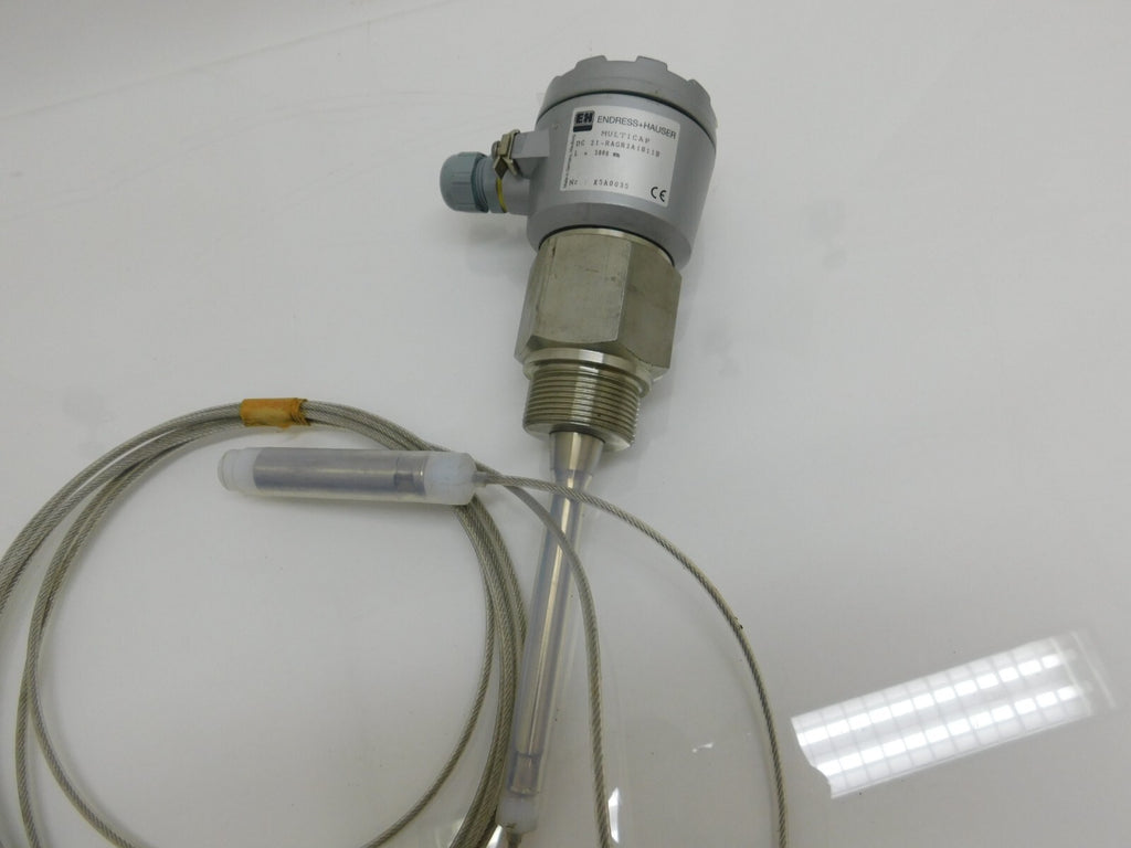 ENDRESS+HAUSER Füllstandsensor MULTICAP DC 21-RAGR2A1B11B L= 5000 mm