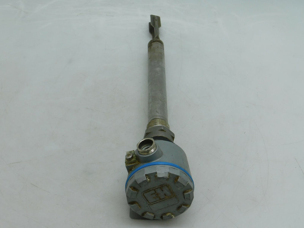 Endress + Hauser Liquiphant PA-VI 810.29 