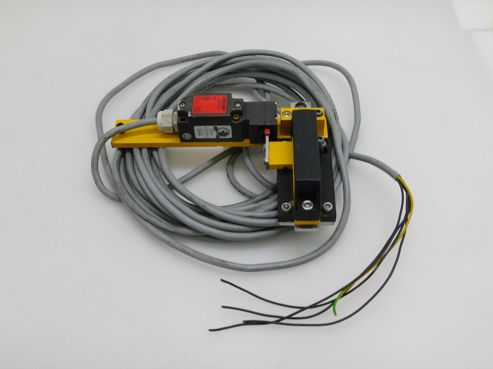 EUCHNER Safety Switch NZ1VZ-2121E-M  RIEGEL NZ_A ca.10 Meter